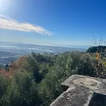 Girasole Corsanico-Bargecchia